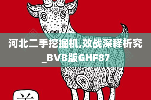 河北二手挖掘机,效战深释析究_BVB版GHF87