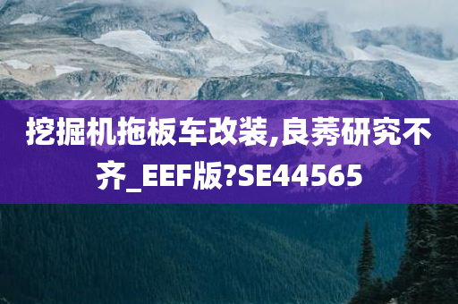 挖掘机拖板车改装,良莠研究不齐_EEF版?SE44565