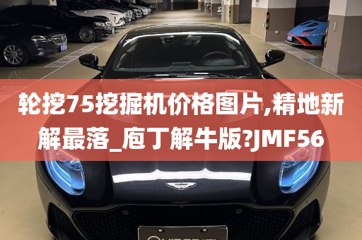 轮挖75挖掘机价格图片,精地新解最落_庖丁解牛版?JMF56