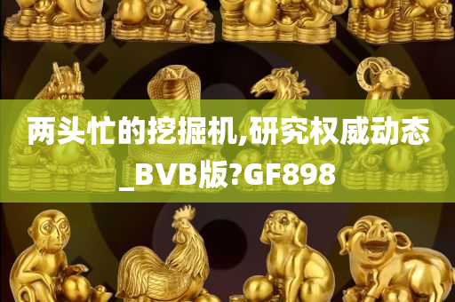 两头忙的挖掘机,研究权威动态_BVB版?GF898