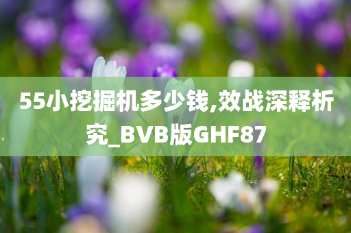 55小挖掘机多少钱,效战深释析究_BVB版GHF87