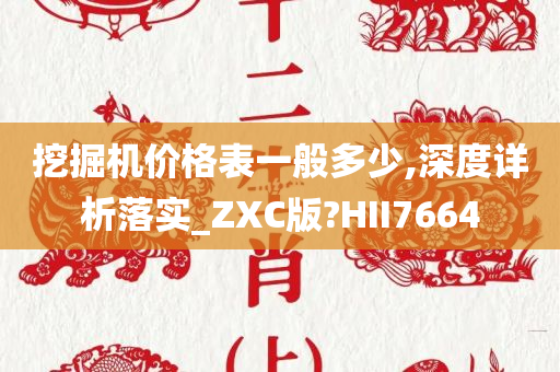 挖掘机价格表一般多少,深度详析落实_ZXC版?HII7664