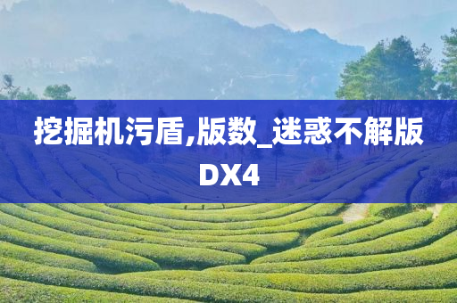 挖掘机污盾,版数_迷惑不解版DX4