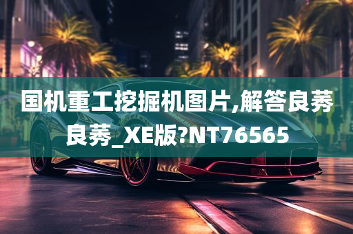 国机重工挖掘机图片,解答良莠良莠_XE版?NT76565