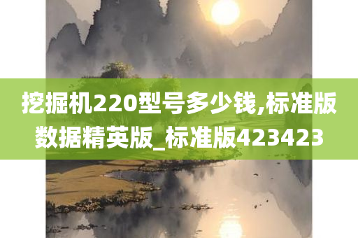 挖掘机220型号多少钱,标准版数据精英版_标准版423423