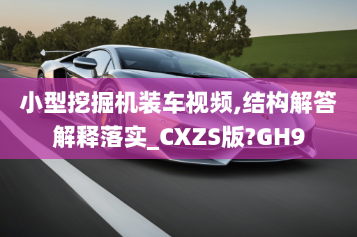 小型挖掘机装车视频,结构解答解释落实_CXZS版?GH9