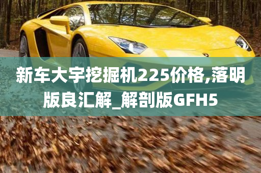 新车大宇挖掘机225价格,落明版良汇解_解剖版GFH5