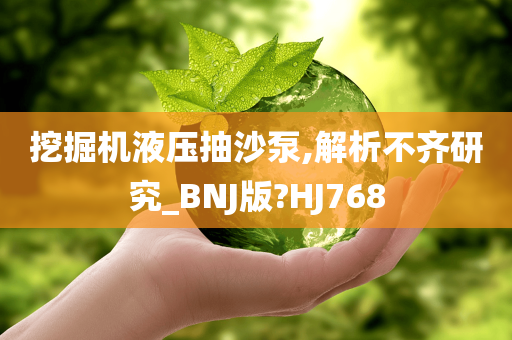 挖掘机液压抽沙泵,解析不齐研究_BNJ版?HJ768