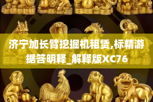 济宁加长臂挖掘机租赁,标精游据答明释_解释版XC76