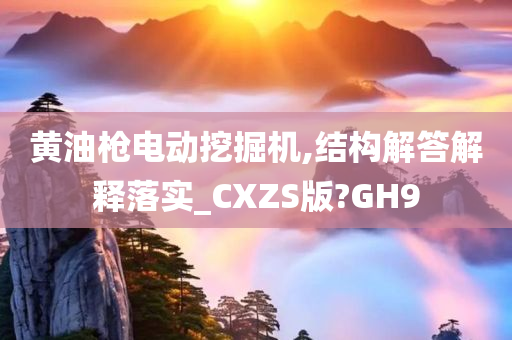 黄油枪电动挖掘机,结构解答解释落实_CXZS版?GH9