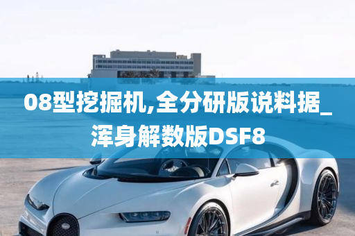 08型挖掘机,全分研版说料据_浑身解数版DSF8