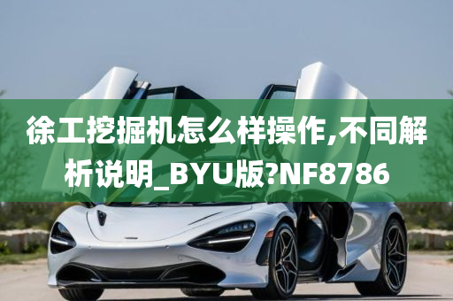 徐工挖掘机怎么样操作,不同解析说明_BYU版?NF8786