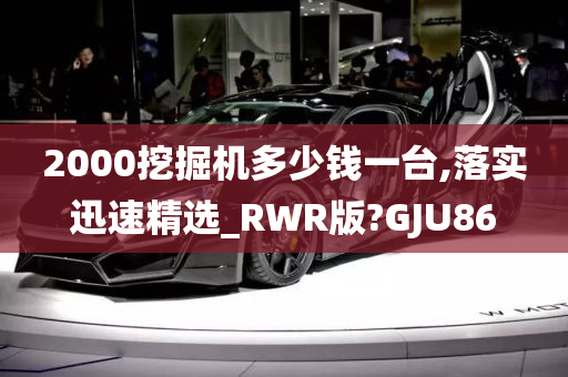 2000挖掘机多少钱一台,落实迅速精选_RWR版?GJU86