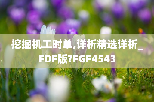 挖掘机工时单,详析精选详析_FDF版?FGF4543