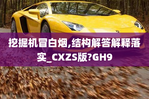 挖掘机冒白烟,结构解答解释落实_CXZS版?GH9