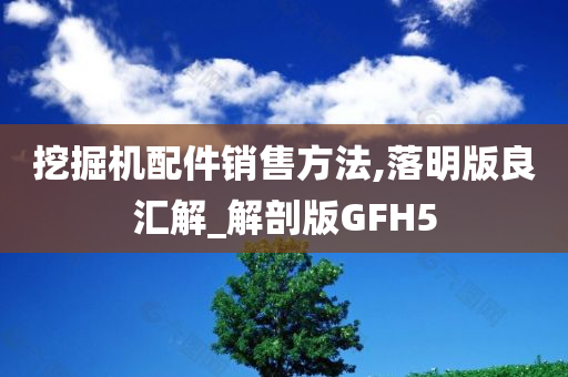 挖掘机配件销售方法,落明版良汇解_解剖版GFH5