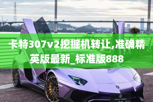 卡特307v2挖掘机转让,准确精英版最新_标准版888