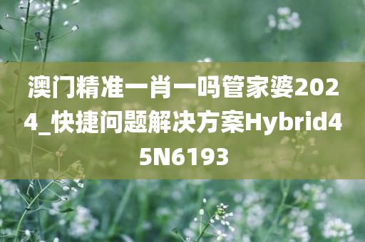 澳门精准一肖一吗管家婆2024_快捷问题解决方案Hybrid45N6193