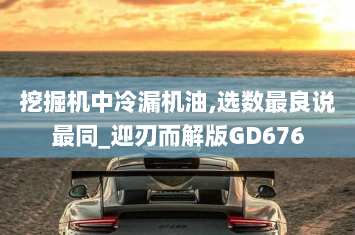 挖掘机中冷漏机油,选数最良说最同_迎刃而解版GD676