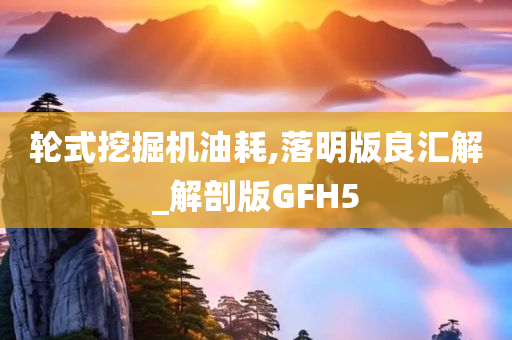 轮式挖掘机油耗,落明版良汇解_解剖版GFH5