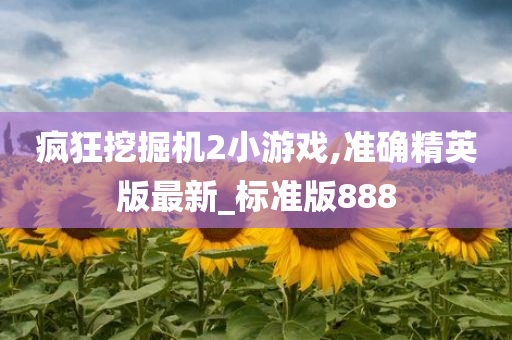 疯狂挖掘机2小游戏,准确精英版最新_标准版888