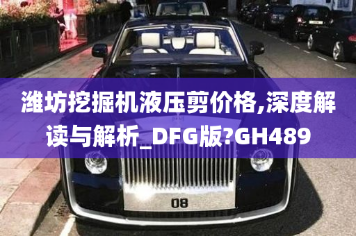 潍坊挖掘机液压剪价格,深度解读与解析_DFG版?GH489