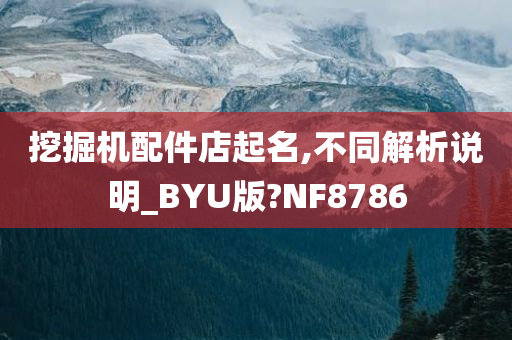 挖掘机配件店起名,不同解析说明_BYU版?NF8786