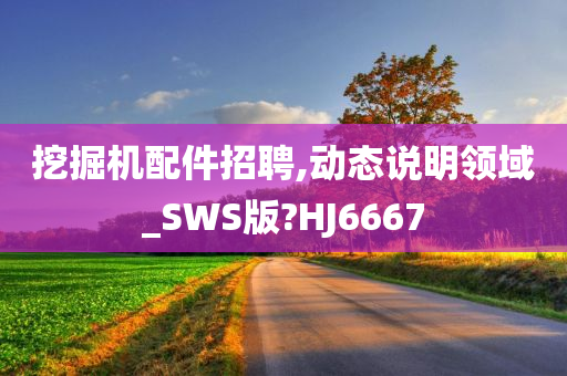 挖掘机配件招聘,动态说明领域_SWS版?HJ6667