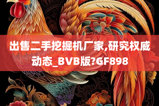 出售二手挖掘机厂家,研究权威动态_BVB版?GF898