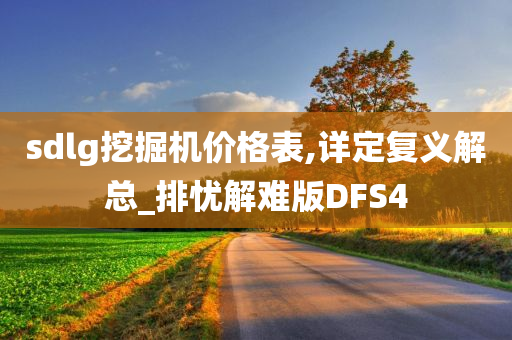 sdlg挖掘机价格表,详定复义解总_排忧解难版DFS4