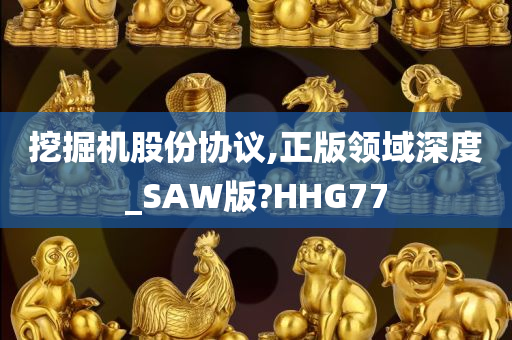 挖掘机股份协议,正版领域深度_SAW版?HHG77