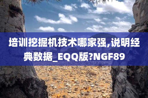 培训挖掘机技术哪家强,说明经典数据_EQQ版?NGF89