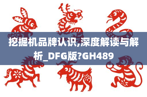 挖掘机品牌认识,深度解读与解析_DFG版?GH489