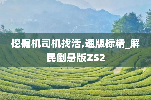 挖掘机司机找活,速版标精_解民倒悬版ZS2