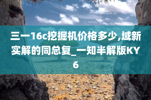 三一16c挖掘机价格多少,域新实解的同总复_一知半解版KY6