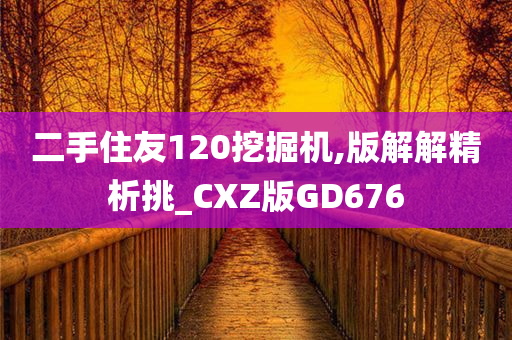 二手住友120挖掘机,版解解精析挑_CXZ版GD676