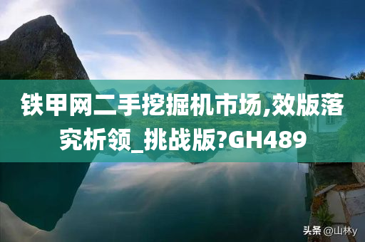 铁甲网二手挖掘机市场,效版落究析领_挑战版?GH489