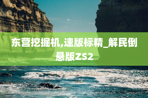 东营挖掘机,速版标精_解民倒悬版ZS2