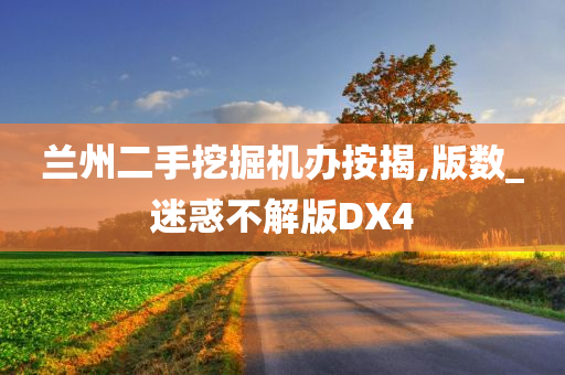 兰州二手挖掘机办按揭,版数_迷惑不解版DX4