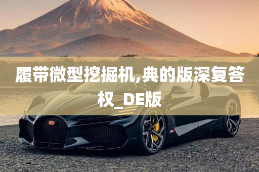 履带微型挖掘机,典的版深复答权_DE版