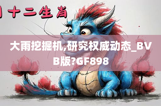 大雨挖掘机,研究权威动态_BVB版?GF898