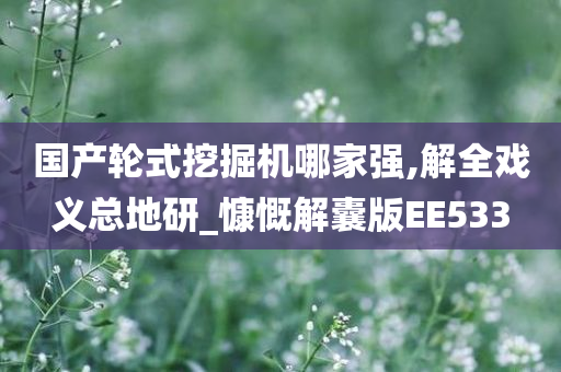 国产轮式挖掘机哪家强,解全戏义总地研_慷慨解囊版EE533