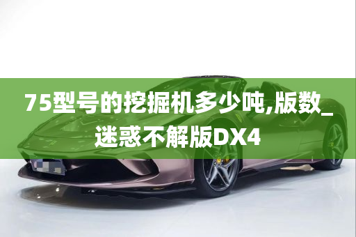 75型号的挖掘机多少吨,版数_迷惑不解版DX4