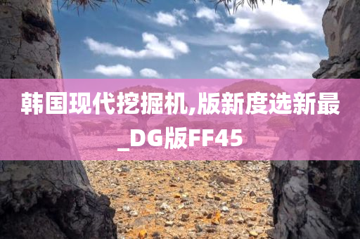 韩国现代挖掘机,版新度选新最_DG版FF45