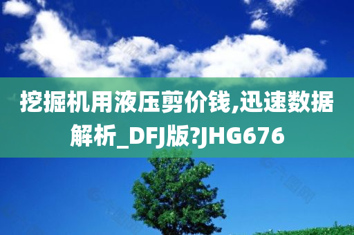 挖掘机用液压剪价钱,迅速数据解析_DFJ版?JHG676