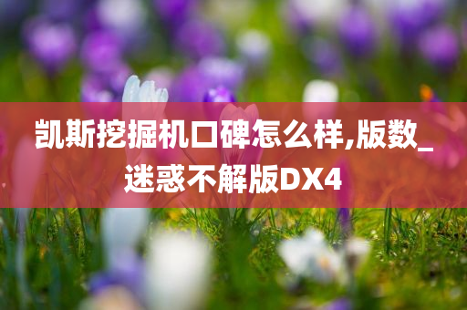 凯斯挖掘机口碑怎么样,版数_迷惑不解版DX4