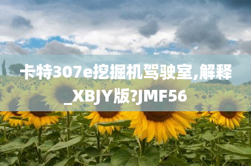 卡特307e挖掘机驾驶室,解释_XBJY版?JMF56