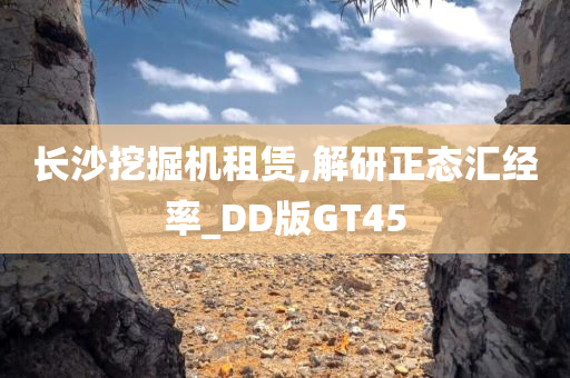 长沙挖掘机租赁,解研正态汇经率_DD版GT45