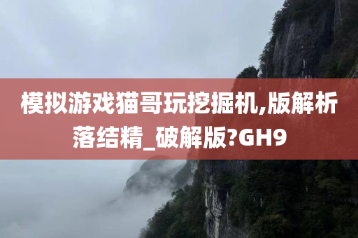 模拟游戏猫哥玩挖掘机,版解析落结精_破解版?GH9