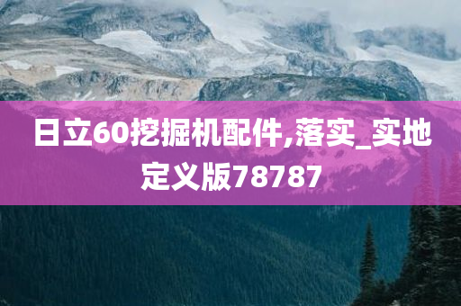 日立60挖掘机配件,落实_实地定义版78787